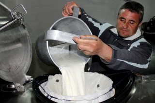 Kleinbauer Udo Roth liefert die magere Ausbeute des Abends in der Milchsammelstelle von Malmkrog ab