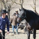 Bewohner des Harbachtales und von weiter her kommen, um ihre Tiere zu verkaufen. (Foto: Stefan Junger) Bewohner des Harbachtales und von weiter her kommen, um ihre Tiere zu verkaufen. (Foto: Stefan Junger)