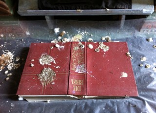 Bibellesungen gibt es in den Kirchen kaum noch zu hören. Das Heilige Buch, verschmutzt vom Dreck der Tauben (Foto: Lisa Rokahr) Bibellesungen gibt es in den Kirchen kaum noch zu hören. Das Heilige Buch, verschmutzt vom Dreck der Tauben (Foto: Lisa Rokahr)